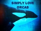 Simply Love Orcas